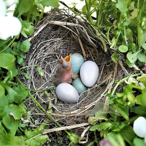 HONMEET 10Pcs White Realistic Bird Egg Props for Breeding and Display