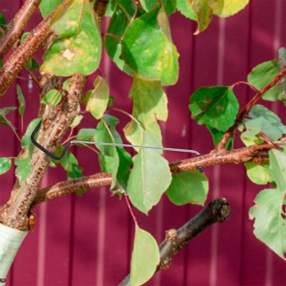 HONMEET Fruit Tree Branch Support Enhances Growth Versatile Application 10Pcs