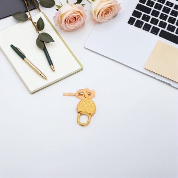 HONMEET Mini Metal Heart Shaped Padlock Set Cute Small Locks for Back to School, Travel, Luggage, Lockers