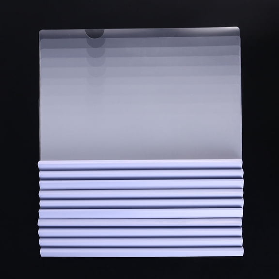 HONMEET 12Pcs Clear Report Folders for Document Organization for Businessmen