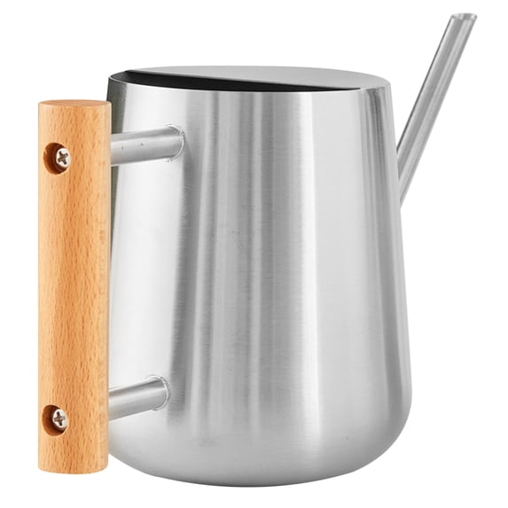HONMEET 1Pcs Thickened Garden Watering Can Silver Stainless Steel Indoor and Outdoor Use Round Spout
