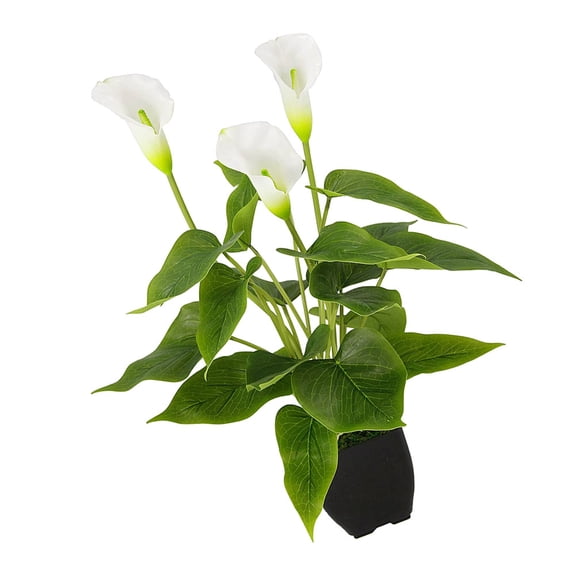 HONMEET Potted Flowers Artificial Calla Lily Bonsai Eco-friendly for Office 1Pack