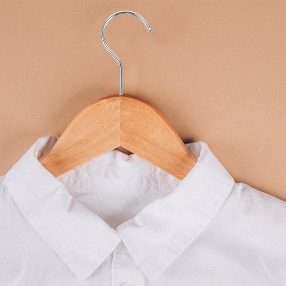 HONMEET 20Pcs Stainless Steel Hanger Organizer Space Saving Garment Securing for Clothes and Accessories