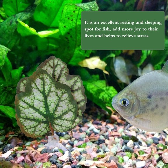 HONMEET 2Pcs Green Plastic Aquarium Leaf Hammock Bed Resting Spot Fish Tank Decor