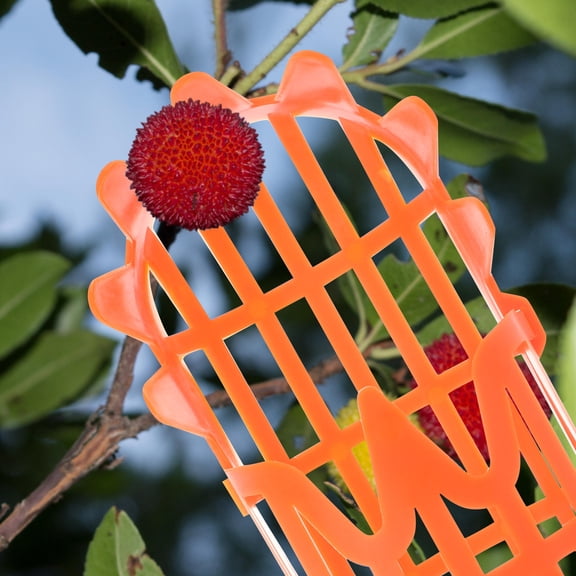 HONMEET 2-Pack Mango Picker Pole with Plastic Basket for Fruit Harvesting in Orchards and Gardens