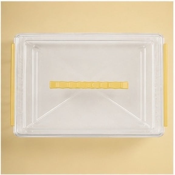 HONMEET 2Pcs Yellow Decorative Bible Storage Box Clear Display Case for Classic Book Preservation