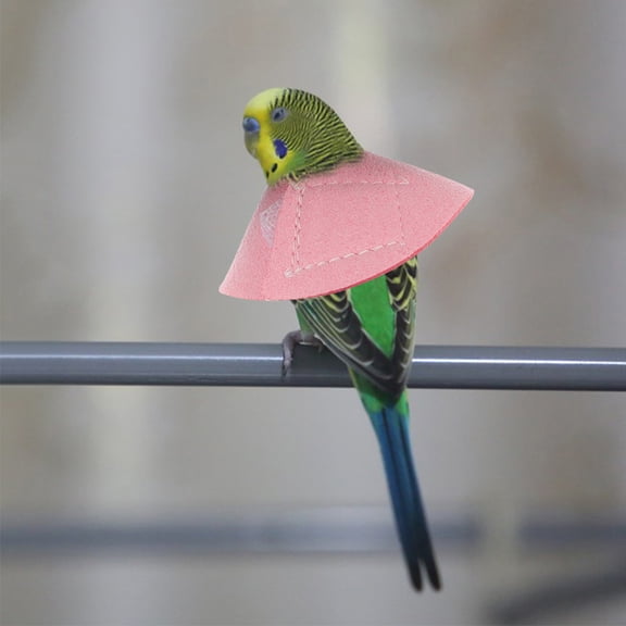 HONMEET 4Pcs Cone Collar For Birds Prevent Feather Plucking Multi Korean Velvet Parrot Recovery