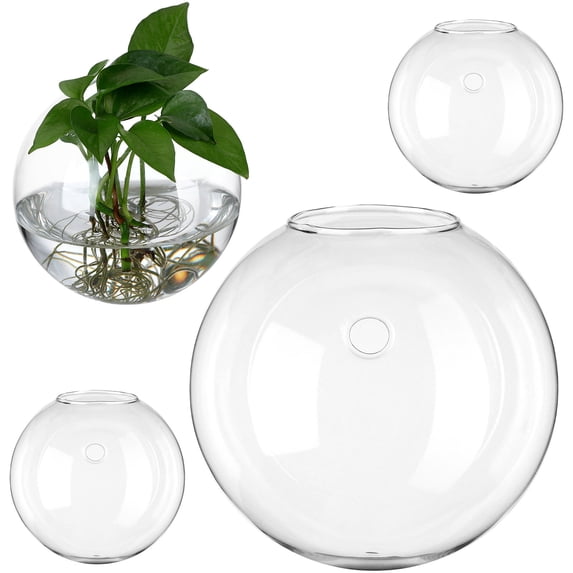 HONMEET 4-Pack Transparent Glass Wall for Indoor Plants, Modern Elegant Design, Easy to and Display