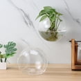 thumbnail image 1 of HONMEET Set of 4 Glass Wall with Clear High Transparency for Stylish Indoor Plant Display and Home Decoration, 1 of 6
