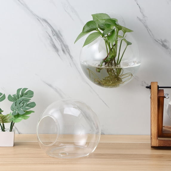 HONMEET Set of 4 Glass Wall with Clear High Transparency for Stylish Indoor Plant Display and Home Decoration
