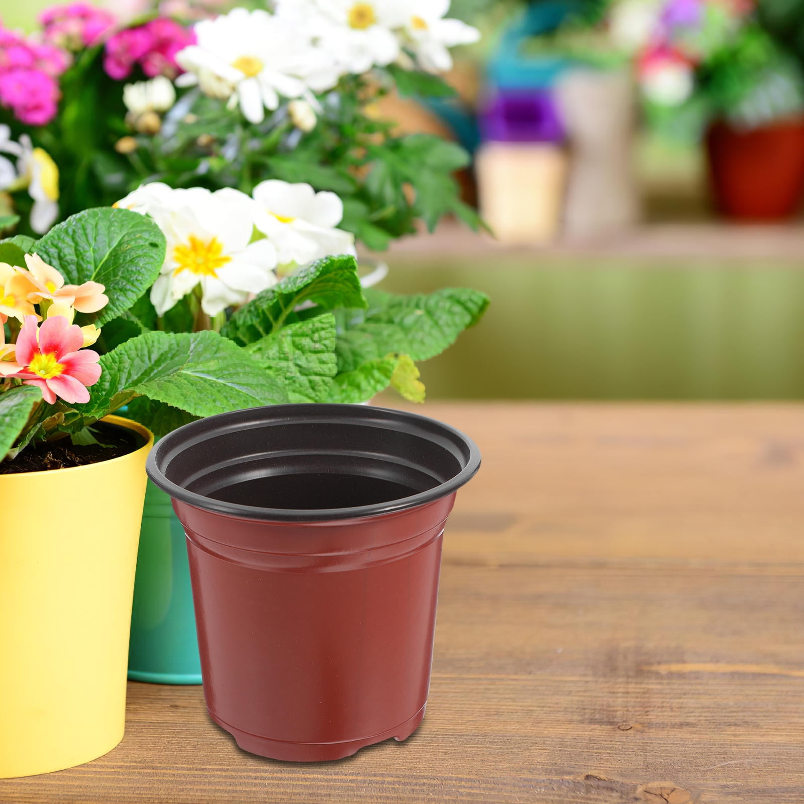 HONMEET 50Pcs Plastic Flower Pot Dark Red Ideal for Indoor Decorative ...