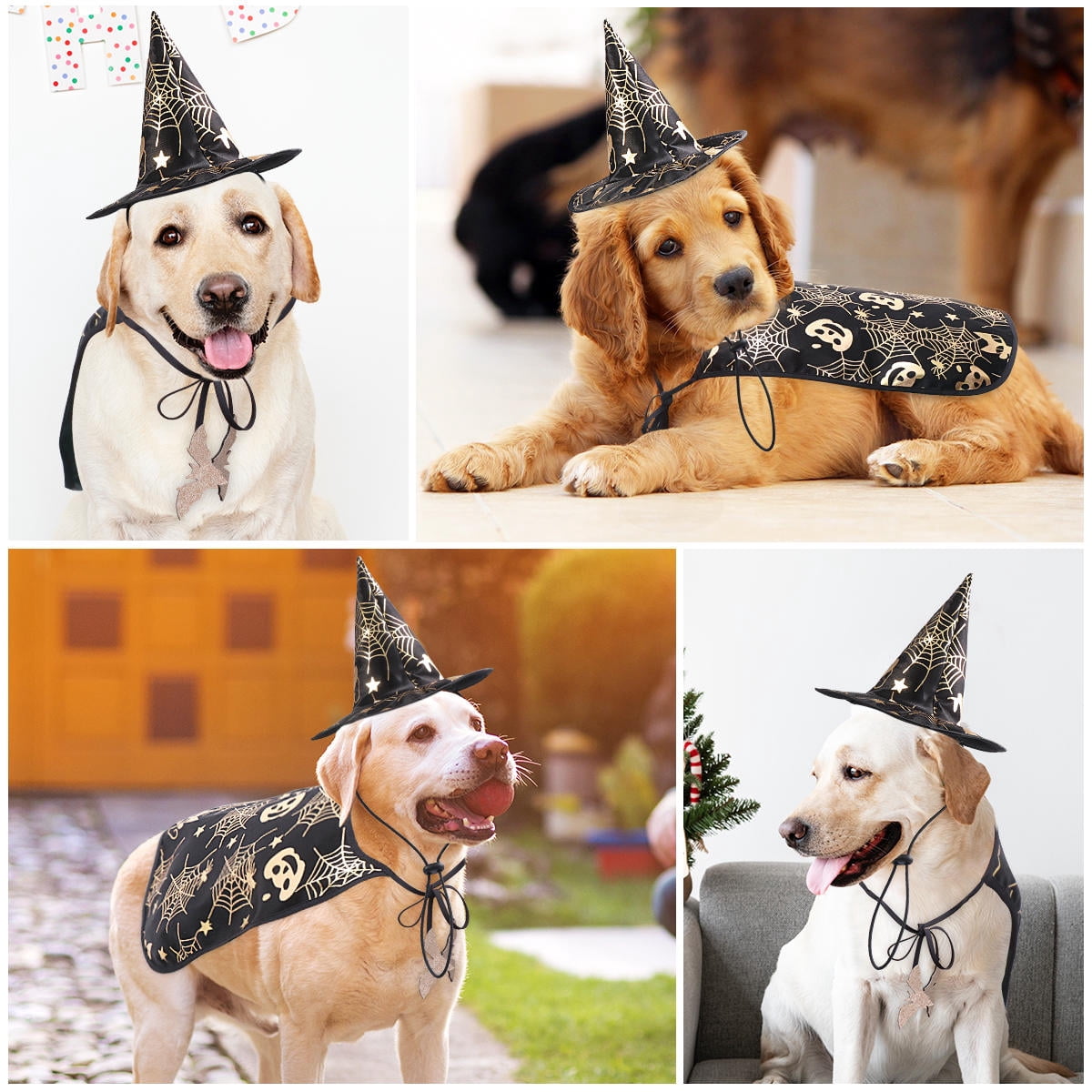 HONMEET 56Pcs Pet Cape and Hat Costume Style for Dogs Photo Shoots ...