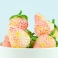 thumbnail image 1 of HONMEET 5Pcs Lifelike Pink Faux Strawberries Plastic Models Ideal for Home Decor and Event Decoration, 1 of 7