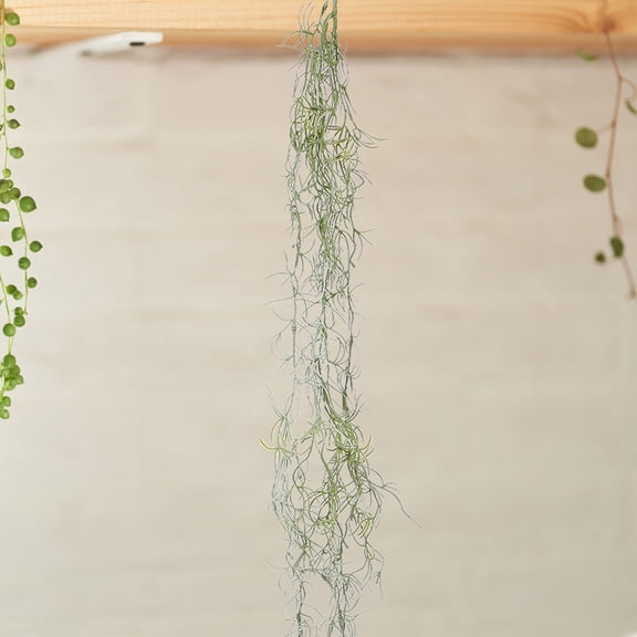 HONMEET 6Pcs Preserved Moss Wall Art Artificial Hanging Moss Vine Light Green Decor