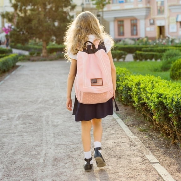 HONMEET 8Pcs America Flag Applique Embroidery Stickers for Bags Hats and Clothes Decor