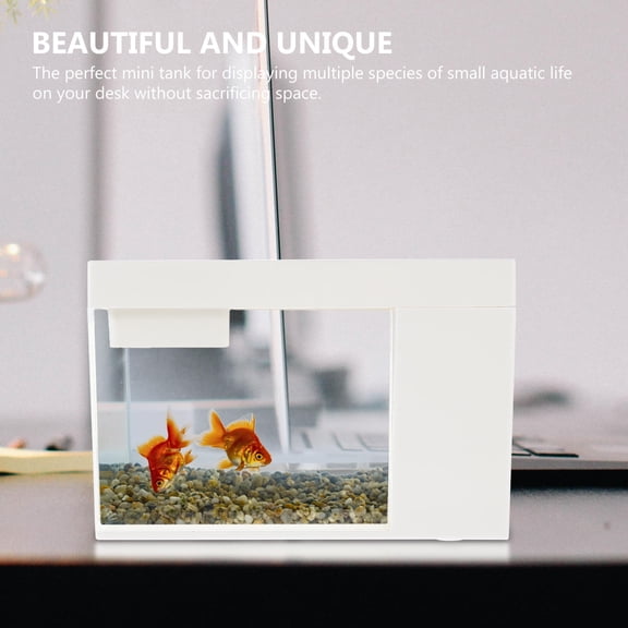 HONMEET Desktop Mini Fish Tank Acrylic Transparent 1Set Desk Ornament
