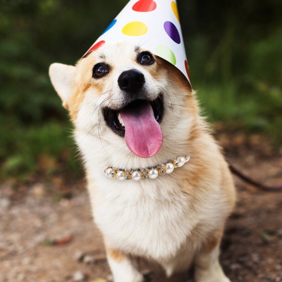 HONMEET Dog Necklace Jewelry Bling Rhinestones Wedding Collar Bow Neckties Dog Bow Tie for Small Dogs Puppy Birthday Party Accessories 2pcs