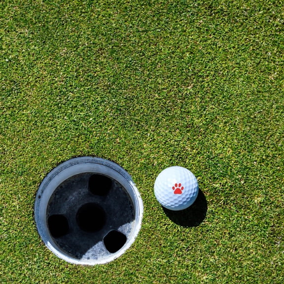 HONMEET Golf Stamper Marker Set of 1 - Portable Golf Identifier Tool for Easy Course Tracking and Accurate Scorekeeping