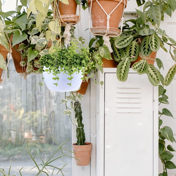 HONMEET Sky Hanging Planter Flower Pot Outdoor Plastic Garden Planter Set for Patio Balcony Yard