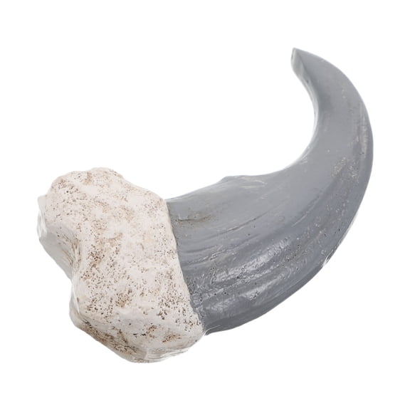 HONMEET Realistic Black Bear Claw Prop Resin Fossilization Ornament for Vintage Decorative Display