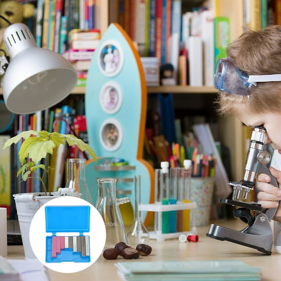 HONMEET Science Lab Equipment Density Comparison For Medical Models Educational Setting Teachers