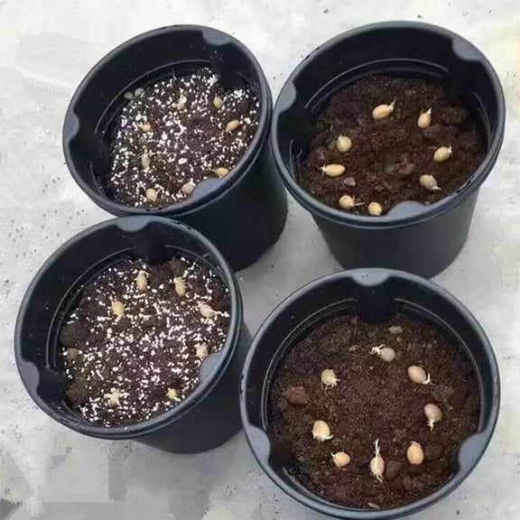 HONMEET Black Plastic Plant Pots, Lightweight Containers for Flowers, Herbs, Indoor and Outdoor Gardening Use