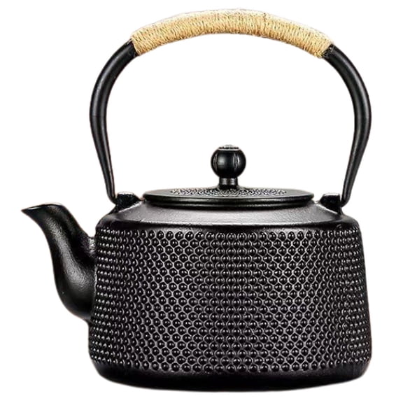 HONMEET Small Iron Teapot with Handle for Office and Travel Use, Portable Tea Kettle, 1 Piece
