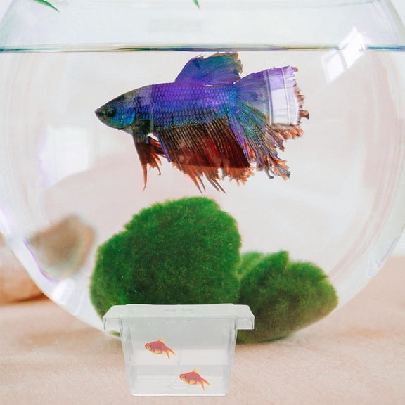 HONMEET 4Pcs Transparent Floating Fish Breeding Box Dual Layer Incubator for Aquarium Fry