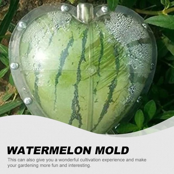 HONMEET Transparent Fruit and Vegetable Shaping Mold for Watermelon Garden Cultivation Use