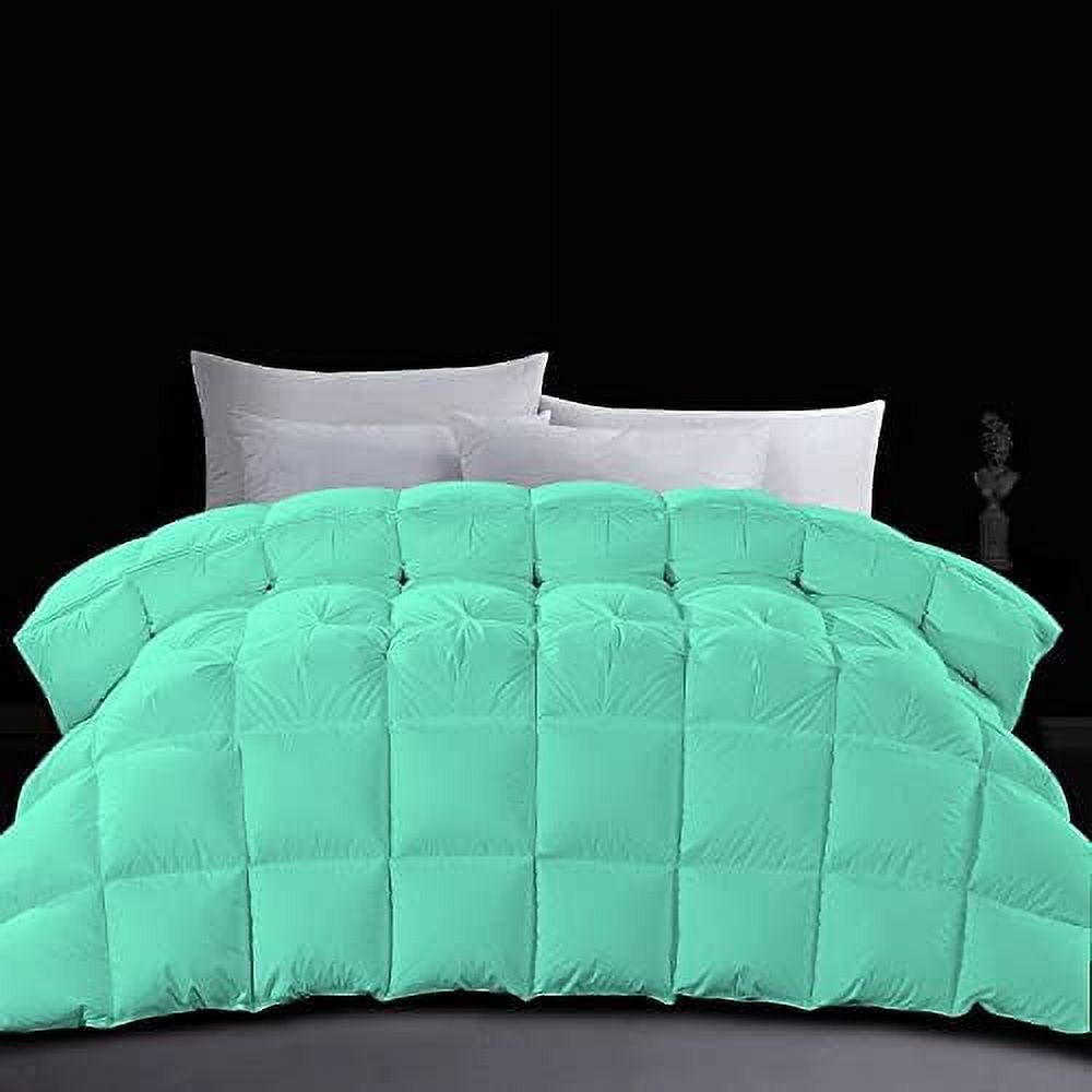 HOOMHIBIU Goose Down Comforter Lavender Oversized Queen Size 100 Soft