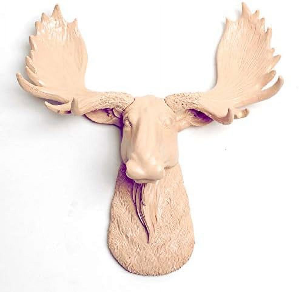HOOMZNB White Faux Taxidermy White Head Wall Mount The Mini Edmonton
