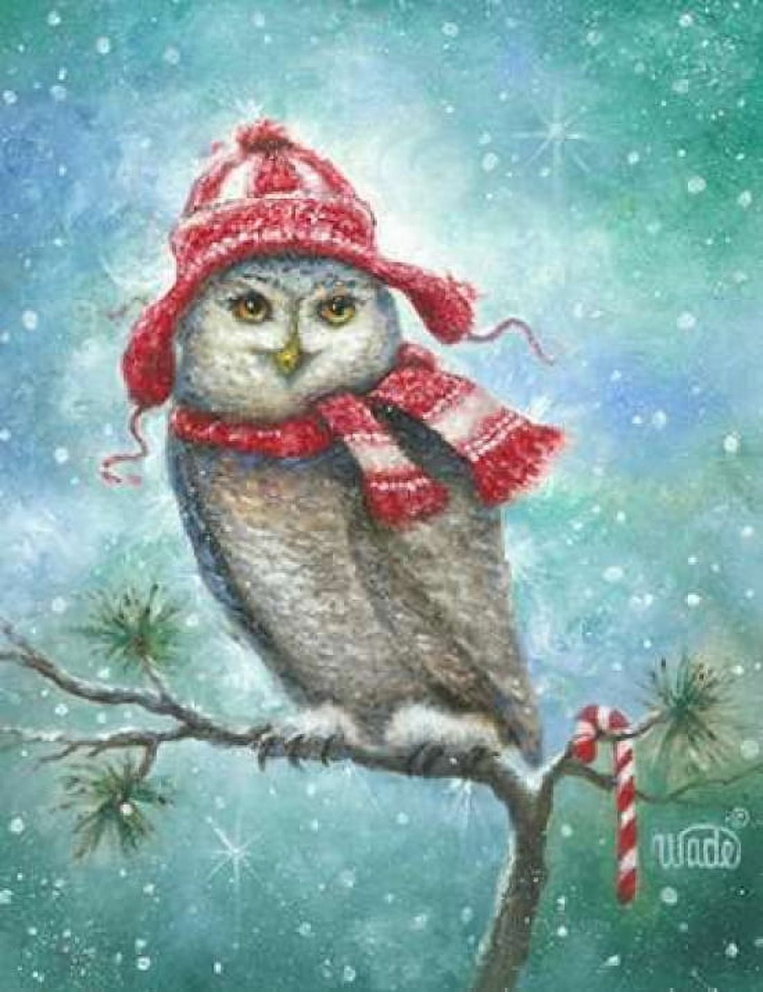 HOOT this Christmas Canvas Art - Vickie Wade (22 x 28)