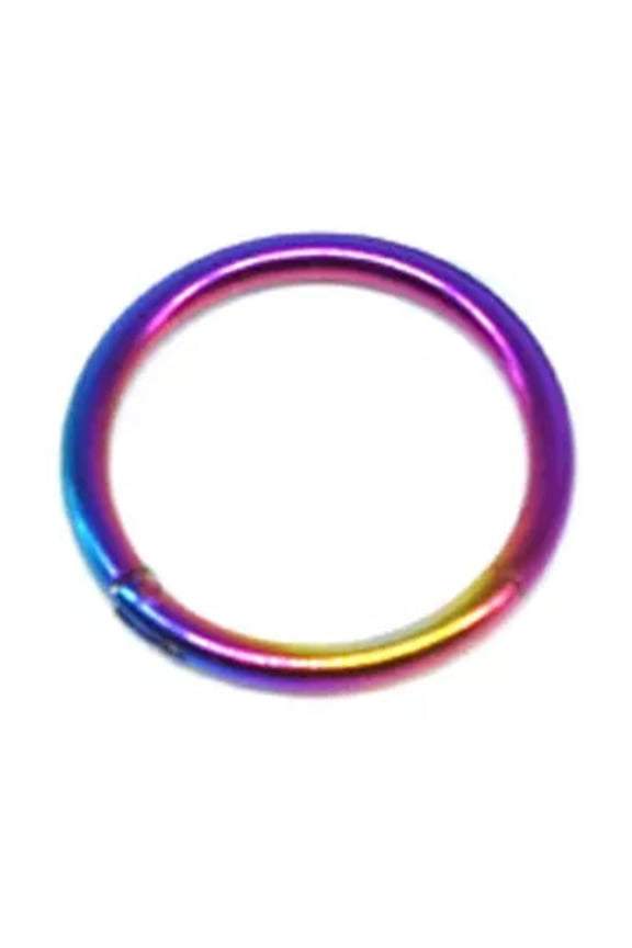 100% Titanium Hinged Segment Ring Hoop Ear Lip Nose Piercing Septum Cliker-Rainbow-8 mm-14g (1.6 mm)
