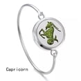 thumbnail image 1 of HOOUN 12 Constellation Aromatherapy Perfume Diffuser Locket Hook Bangle Jewelry Gift -01 Capricorn, 1 of 4