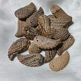 thumbnail image 1 of HOOUN 20pcs Natural Picture Stone Angel Wing Pendant Beads DIY Jewelry Making, 1 of 5