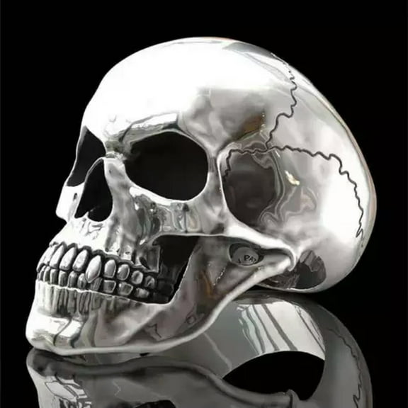 HOOUN Fashion Gothic Mens Skull Bones Biker Ring Men Stainless Steel Jewelry Size 6-13-10-#1