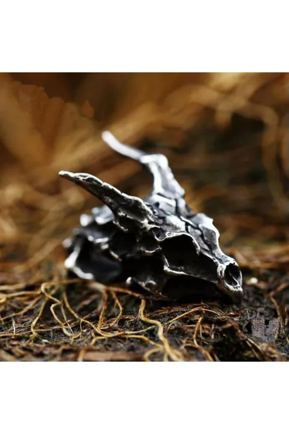 Men's Punk Snake Skull / Dragon / Fallen Angel Pendant Necklace Stainless Steel-Style 7: Dragon Skull