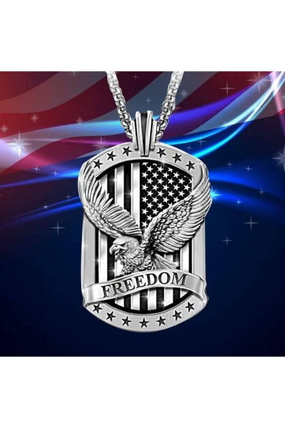 Mens Silver American Eagle w. US Flag Pendant Necklace Punk Biker Jewelry 24"