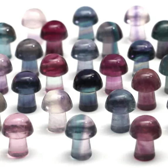 HOOUN Natural Fluorite Animals Statue Stone Carving Quartz Crystal Healing Reiki Decor-1PC Random Colour-Mushroom #2