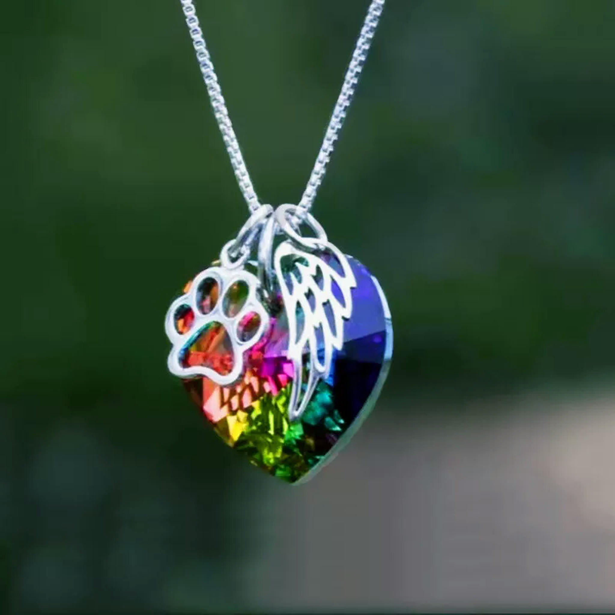HOOUN Rainbow Bridge Pet Loss Necklace Dog Cat Paw Feather Pet Memorial ...