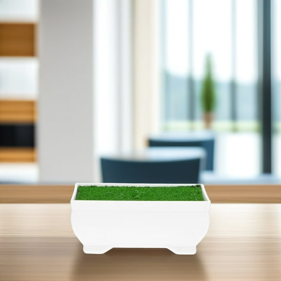 HOOWIFFY Decorative Plastic Bonsai Flower Pot, Assorted Colors, Indoor Planting Pot for Home and Room Decor, 1 Set