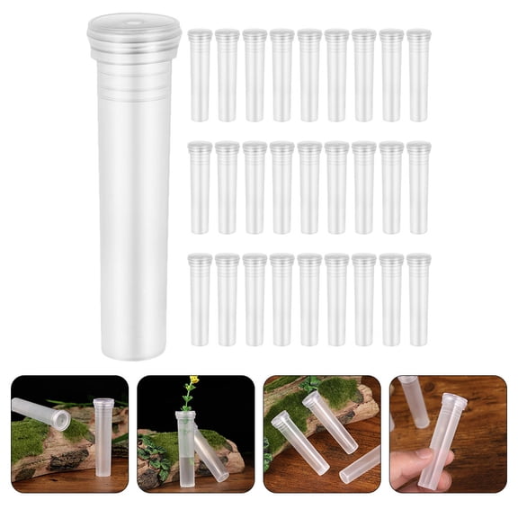 HOOWIFFY 100pcs Propagator Plant Vases Transparent Plastic Simple Design for Office Decor
