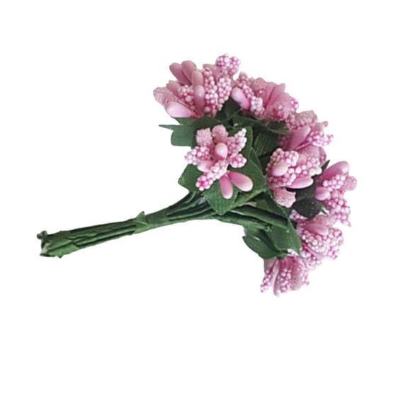 HOOWIFFY 12Pcs Pink Simulation Berries for Coffee Shop and Event Decoration