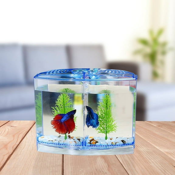 HOOWIFFY 1Set Blue Clear Acrylic Fish Tank for Desktop Landscape and Fish Breeding Use