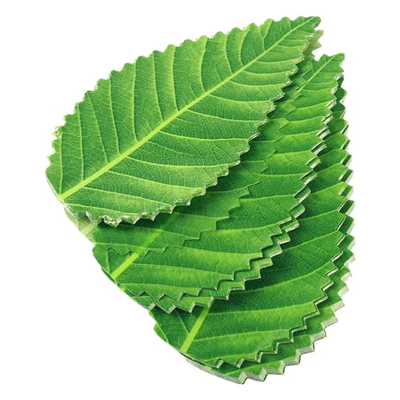 HOOWIFFY 200-Piece Green Sushi Leaf Plates for Japanese Restaurant, Hotel Sushi Presentation and Decorative Serving