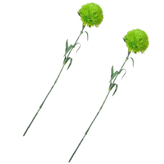 HOOWIFFY Lifelike Faux Pinecone Decor Light Green Soft PVC for Home and Office 2Pcs