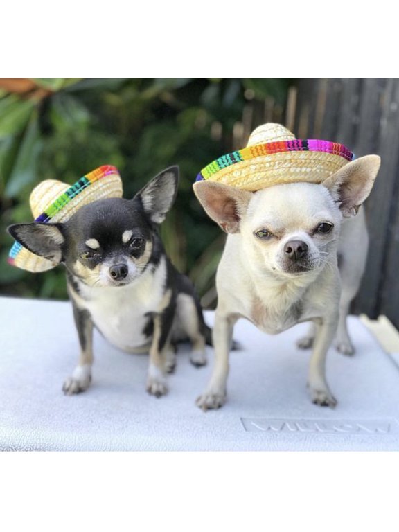 2Pcs Pet Hair Hoop Straw Hat Design Headband Secure Fit Lightweight for Parties