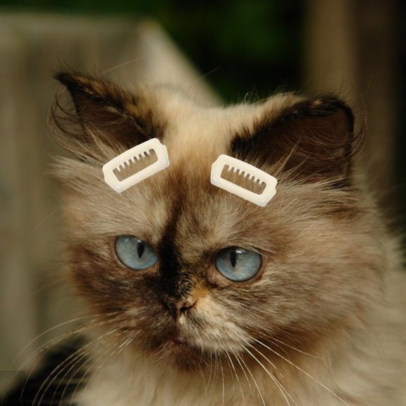 HOOWIFFY 5Pcs Cute Dog Hair Clips Beige for Small Pets Stylish ABS Material Hair Barrettes