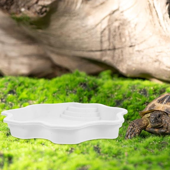 HOOWIFFY White ABS Reptile Water Bowl and Feeding Dish with Non- Bottom for Turtle Habitat and Small Pets