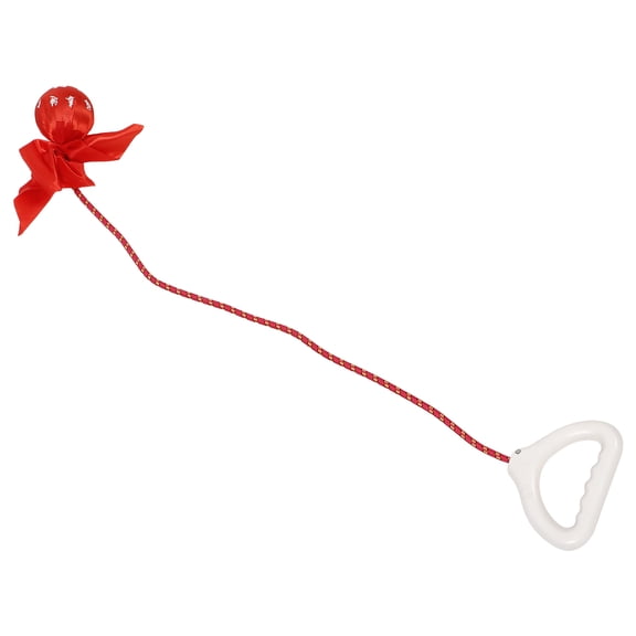 HOOWIFFY Exercise Ball for Home Workouts Yoga Strengthening